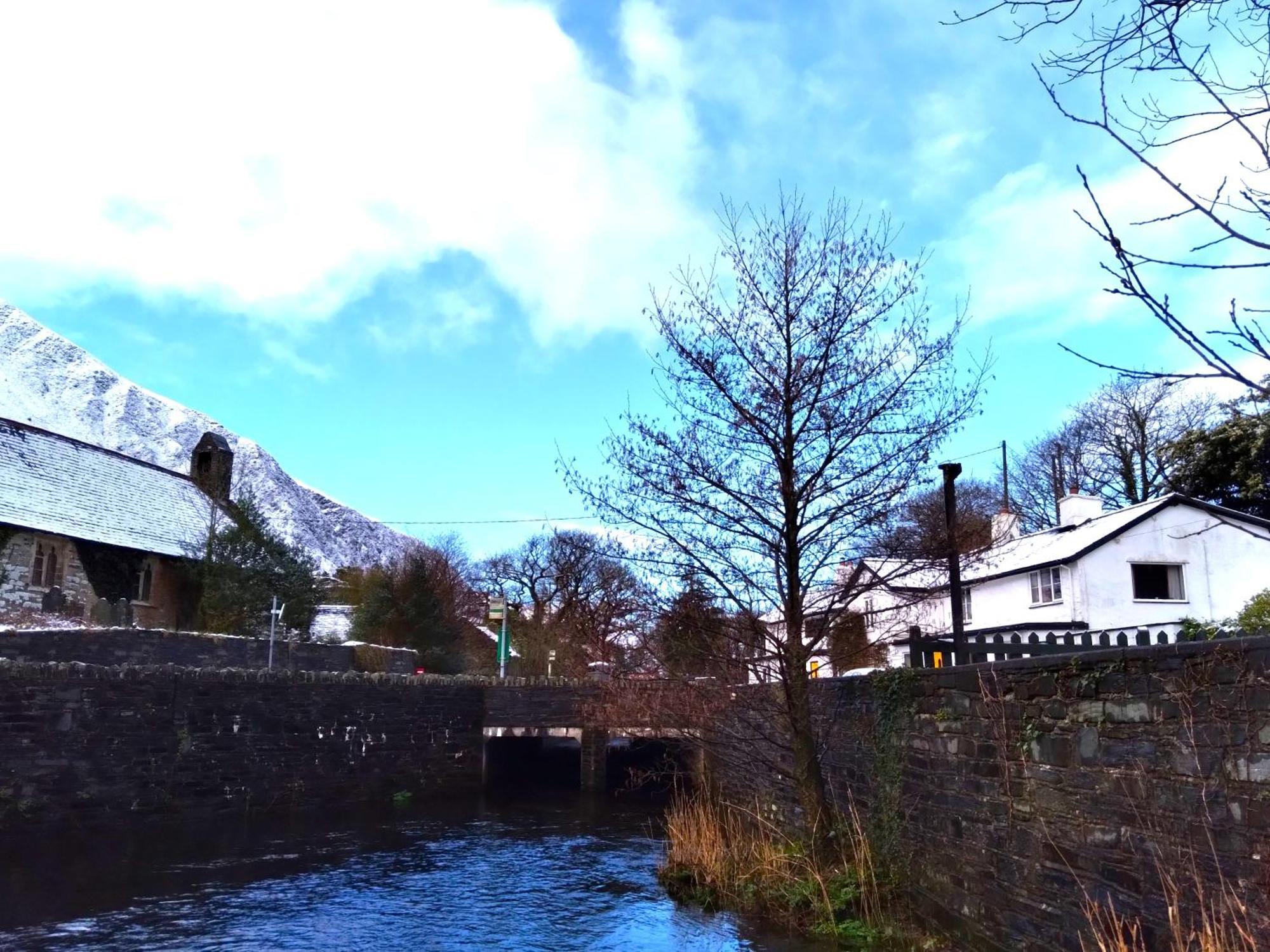 Pen-Y-Bont Hotel Tal-y-llyn Екстер'єр фото