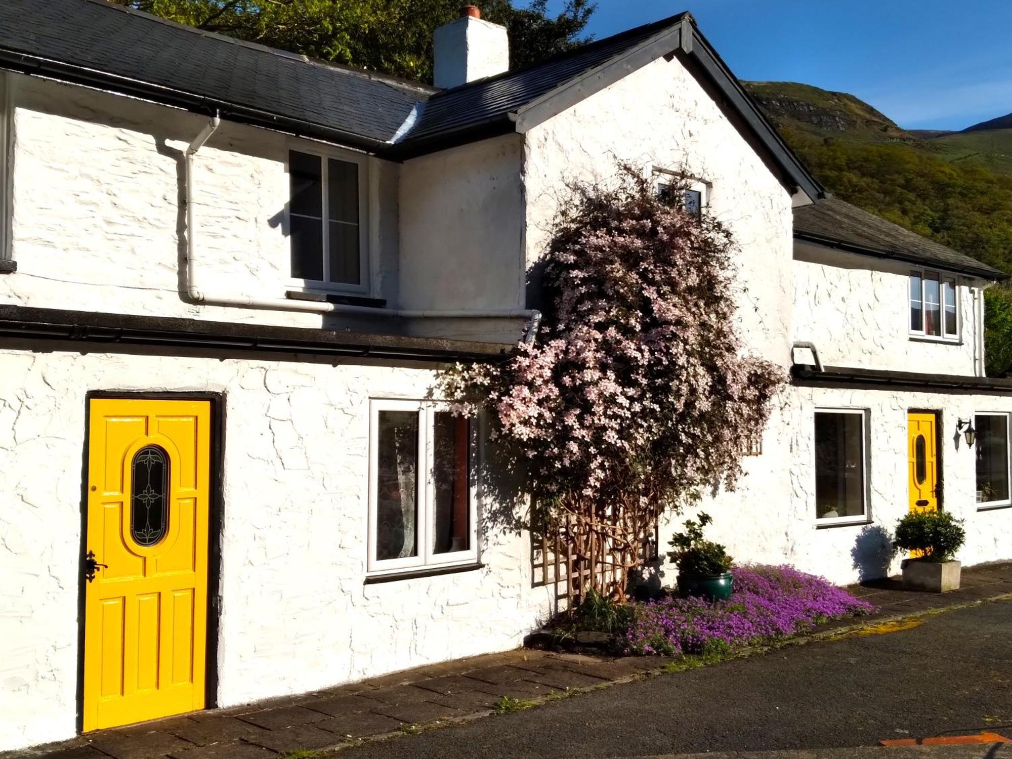 Pen-Y-Bont Hotel Tal-y-llyn Екстер'єр фото